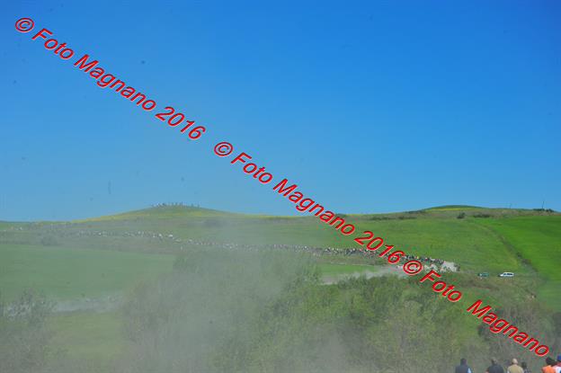 DSC_9787.JPG